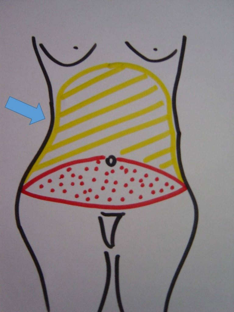 pa-lipo-schema-face
