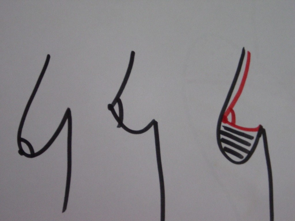 schema-pm