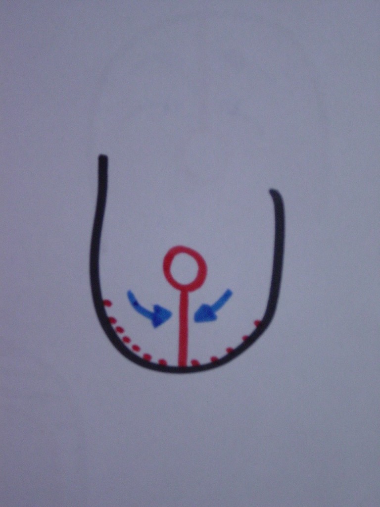 schema-pince